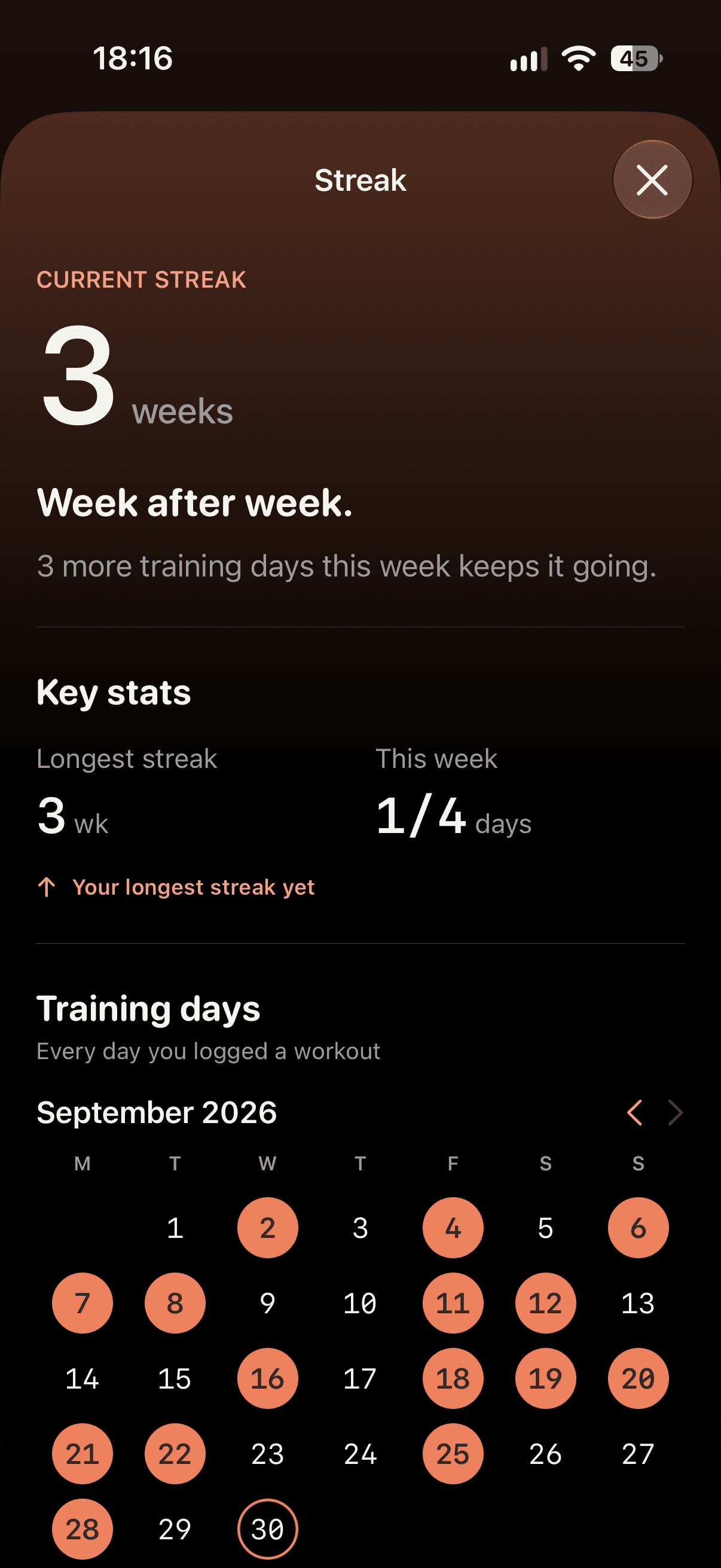 Streak sheet with the training-day calendar